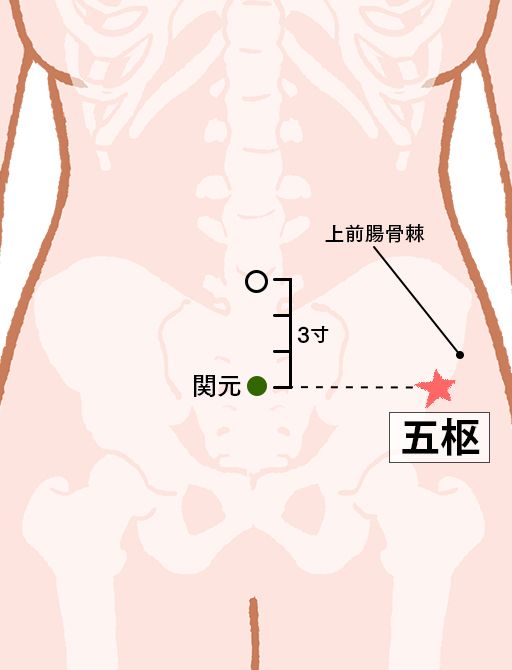 五枢（ごすう）：胆経のツボ