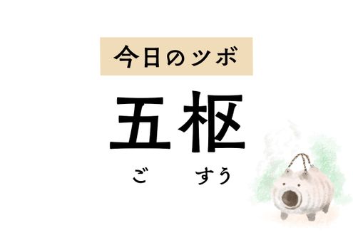 「五枢」は婦人科系のトラブルに有効なツボ。便秘や鼠径部の痛みも改善します