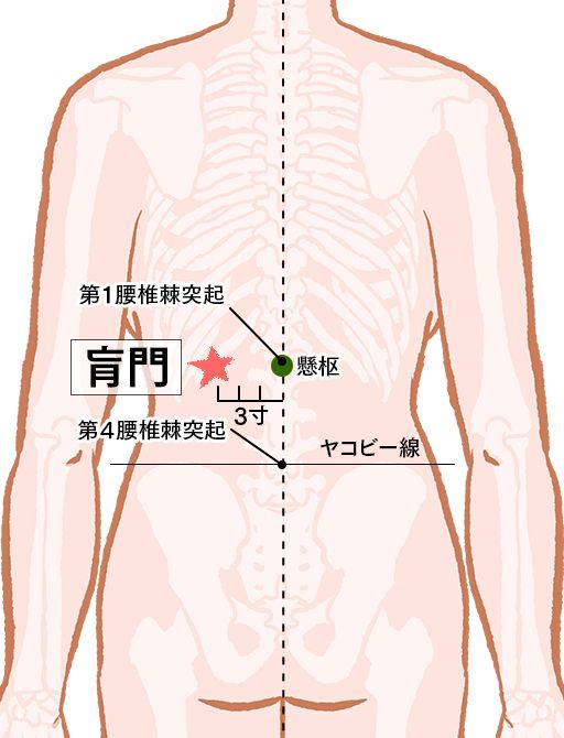 肓門（こうもん）：膀胱経のツボ