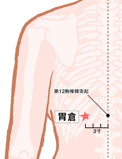 胃倉（いそう）：膀胱経のツボ