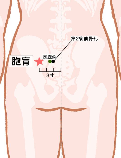 胞肓（ほうこう）：膀胱経のツボ