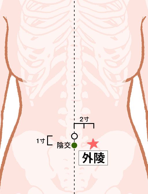 外陵（がいりょう）：胃経のツボ
