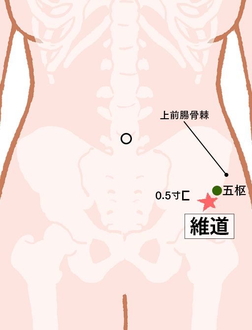 維道（いどう）：胆経のツボ