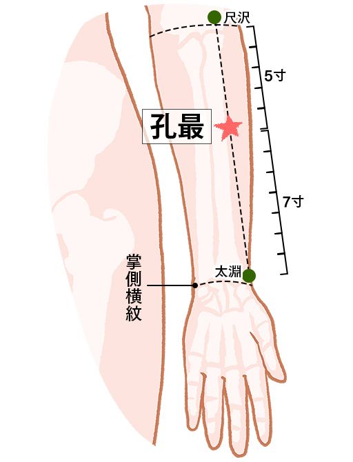 孔最（こうさい）：肺経のツボ