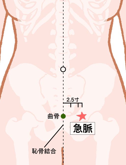 急脈（きゅうみゃく）：肝経のツボ