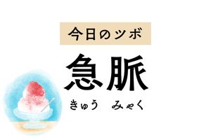 男性生殖器まわりの腫れや痛みに有効な「急脈」。男女問わず下腹部や鼠径部の痛みにも