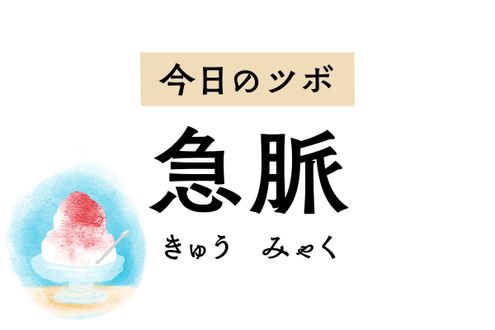 男性生殖器まわりの腫れや痛みに有効な「急脈」。男女問わず下腹部や鼠径部の痛みにも