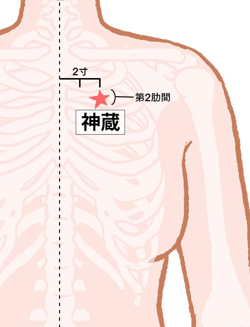 神蔵（しんぞう）：腎経のツボ