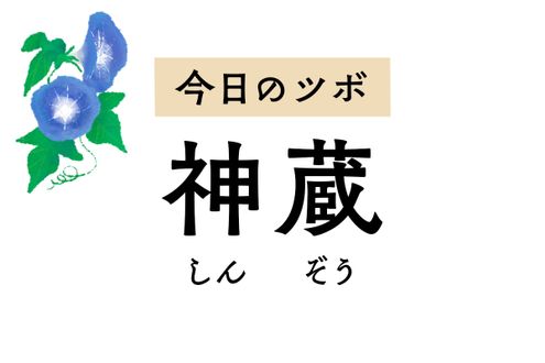 肺に働きかけてせきや喘息を緩和する「神蔵」。胸の痛みや乳房の腫れも改善します