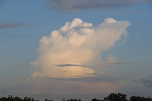 雲の名前は「〇〇太郎」が人気。入道雲や積乱雲にもご当地名があります