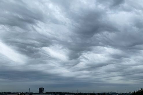 波打つような荒々しさを持つ「うねり雲」。曇天の日は迫力あるこの雲を探してみては