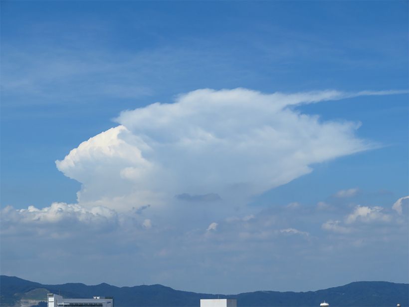 写真／荒木健太郎