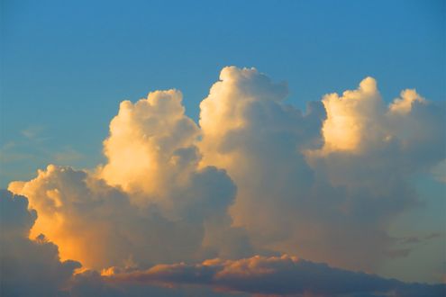 最も強い雨は、背の高い雨雲から降るわけではない！ 近年の研究で分かった雨雲の特徴