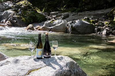 山梨の名水で造られた、笹一酒造の八咫笹一（左）と山梨銘醸の七賢「白心」（右）。
