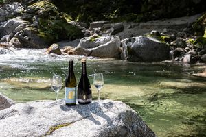 【美と美味の国・山梨へ】第8回　「酒は、水。」──山梨の清流が育む日本酒を巡る旅