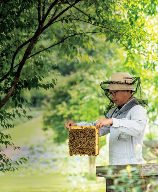 女王蜂の驚異的な生命力の源「ローヤルゼリー」。その秘密に迫るため、岡山県の山田養蜂場へ。パワーの根幹となる成分と、日本が誇る先端技術の裏側を探ります。