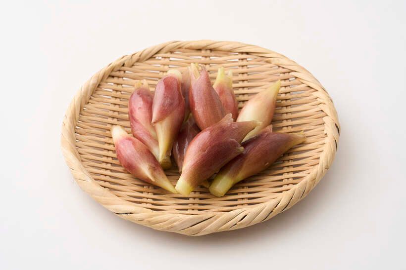 旬のみょうがを使用。