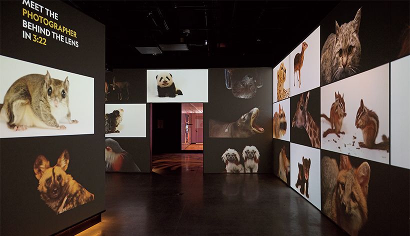 Joel Sartore/National Geographic Photo Ark, Rebecca Hale/National Geographic　2026年7月6日現在、1ドル=162.16円