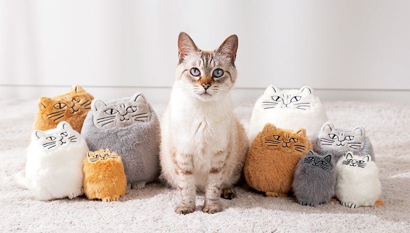 カラーは〈しろのソルト〉、〈ぐれーのペッパー〉、〈ちゃいろのシナモン〉の3色展開。「ぬいぐるみ」M（幅19×奥行き12×高さ19センチ）各3300円、S（幅14×奥行き9.5×高さ14センチ）各2750円　「マスコット」（幅8.5×奥行き6.5×高さ9.5センチ）各2200円／すべてトンカチ