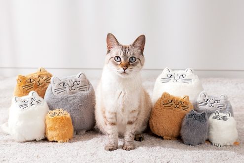 暮らしを彩る猫モチーフのグッズたち　ふわふわ・もふもふ リアルな毛並を再現した逸品も