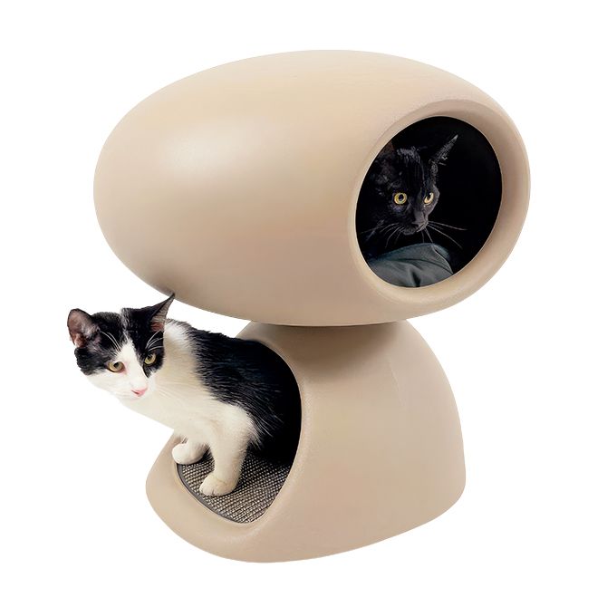 猫の好奇心をくすぐるデザイナーズキャットハウス