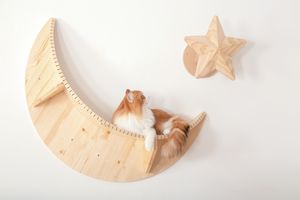 猫のいる暮らし　おしゃれなインテリアグッズで 猫も人も幸せな空間