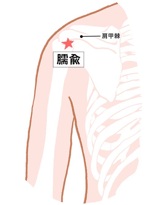 臑兪（じゅゆ）：小腸経のツボ