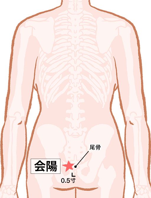 会陽（えよう）：膀胱経のツボ