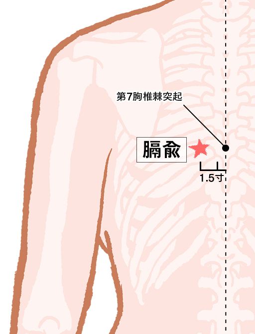 膈兪（かくゆ）：膀胱経のツボ