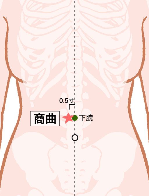 商曲（しょうきょく）：腎経のツボ
