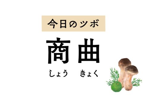 お腹のしこりやへその痛み、胃痛に用いる「商曲」。ツボ名は古代の音階に由来