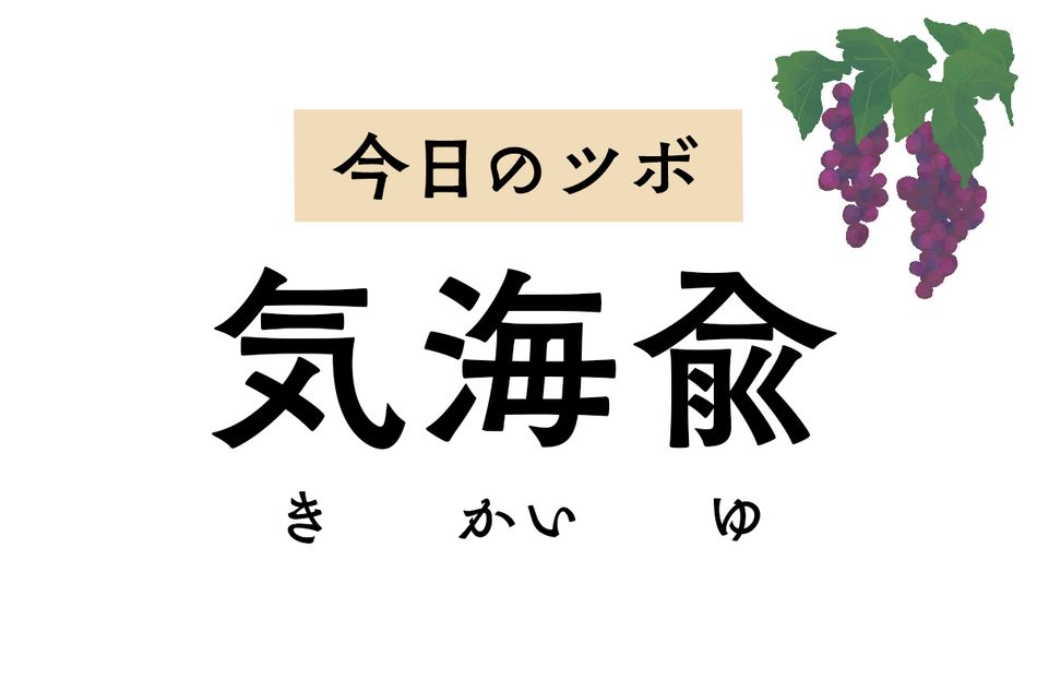 泌尿器や生殖器の不調をラクにする「気海兪」。月経不順や月経痛、排尿障害に