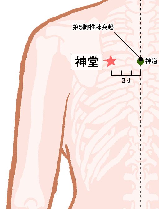 神堂（しんどう）：膀胱経のツボ