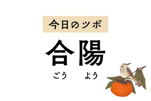 つらい腰痛や坐骨神経痛に効く「合陽」。性器の不正出血や陰部の痛みにも用います