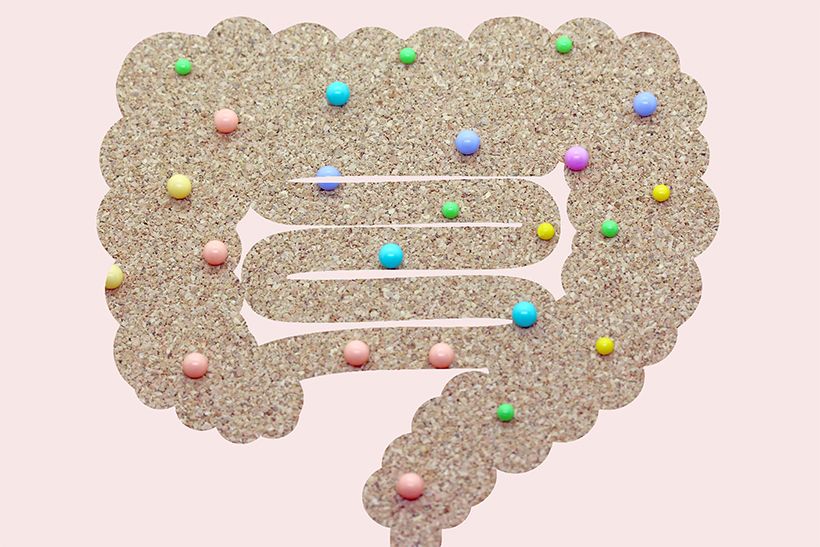 専門用語である「腸内細菌叢」を一般の人にも親しみやすくするために用いられた言葉が「腸内フローラ」。由来は、顕微鏡で大腸の細菌叢を見ると、さまざまな菌が存在して花畑（フローラ）のようであることから。