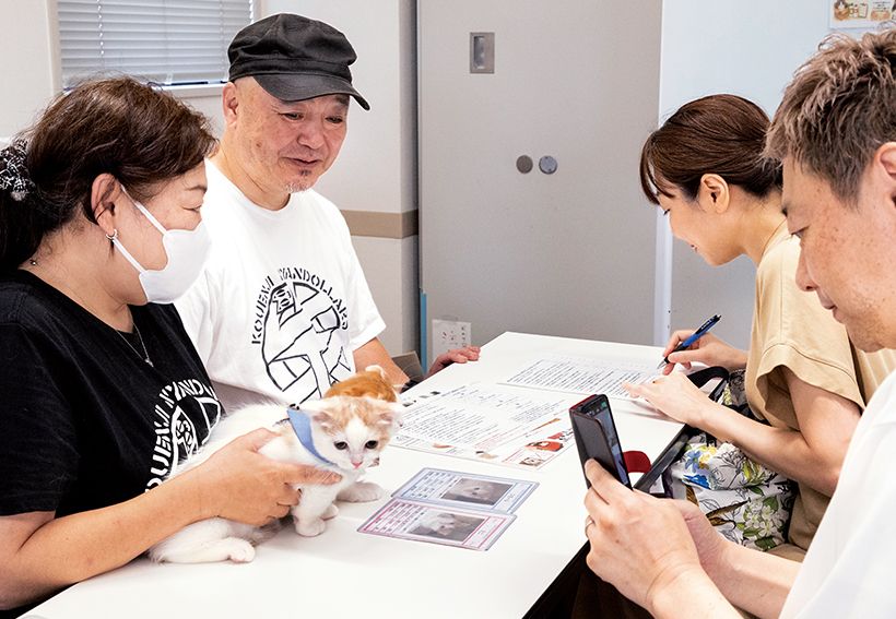 （6）申し込み・トライアル