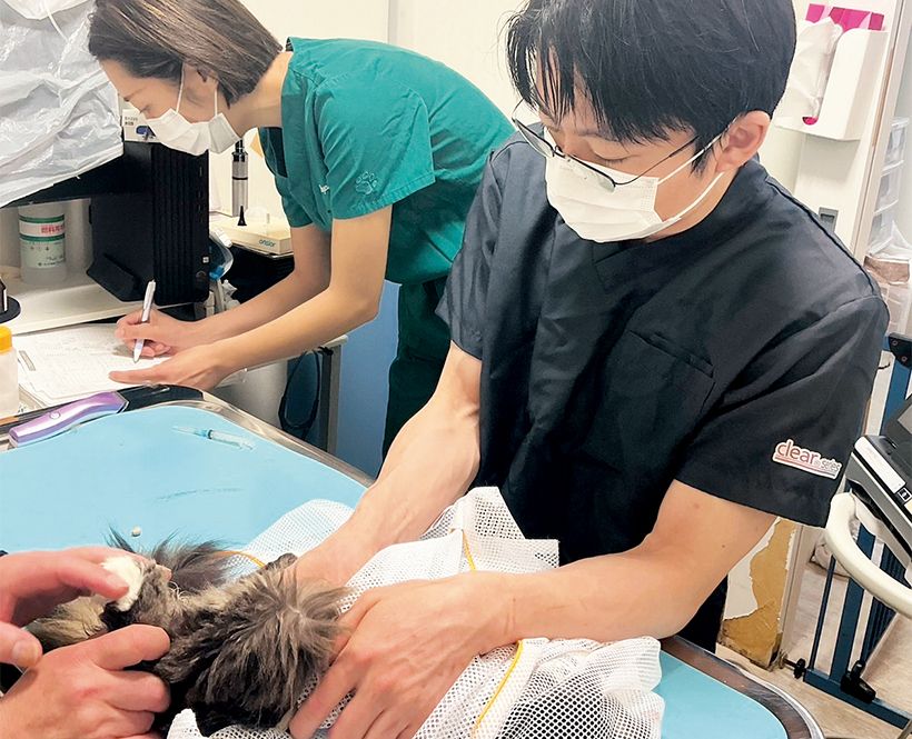 （2）診察