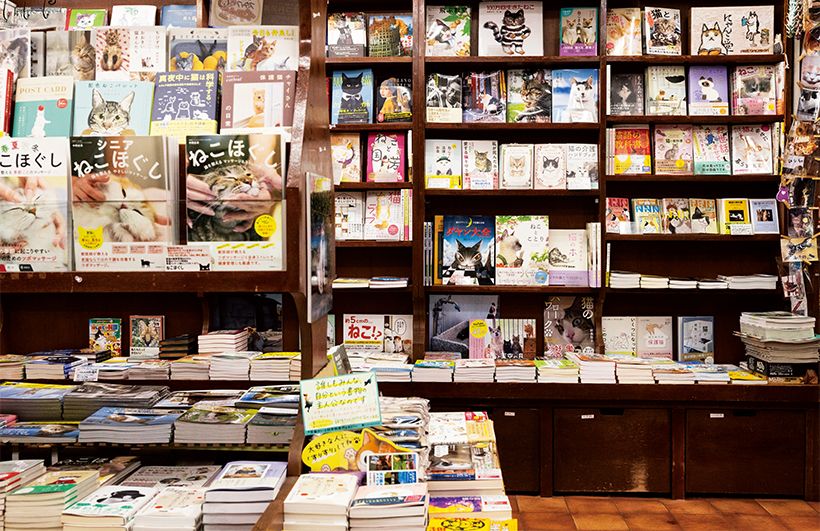 文芸誌から絵本、漫画と多彩なラインナップ。日本絵本賞受賞作『ねことことり』（世界文化社）も棚に。