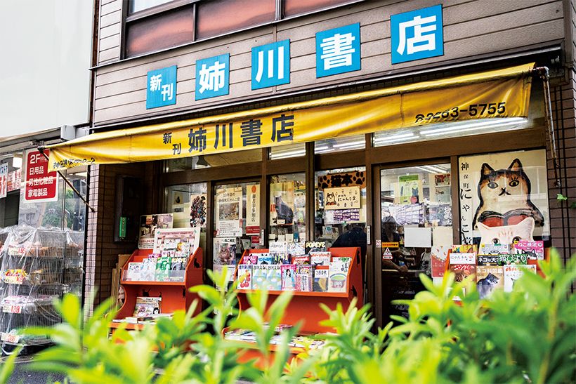 猫本専門 神保町にゃんこ堂