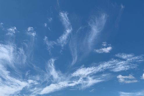 雲は遺伝したり変異したりする。今日見た雲にも“親子関係”があるかも