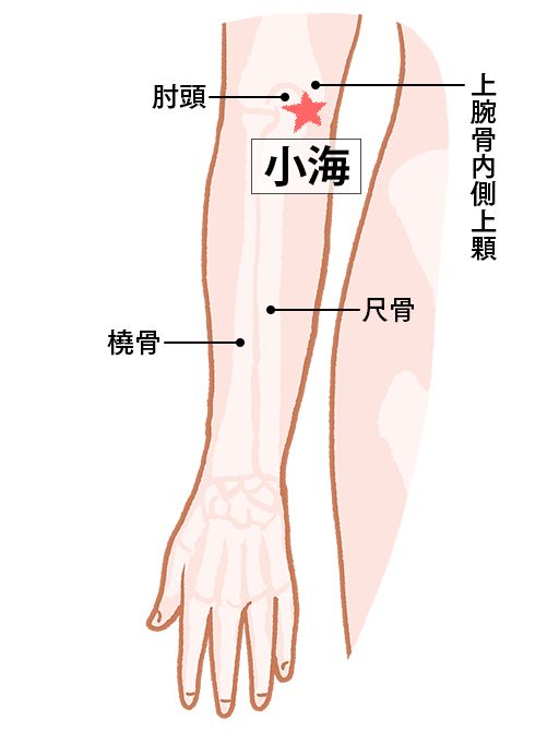 小海（しょうかい）：小腸経のツボ