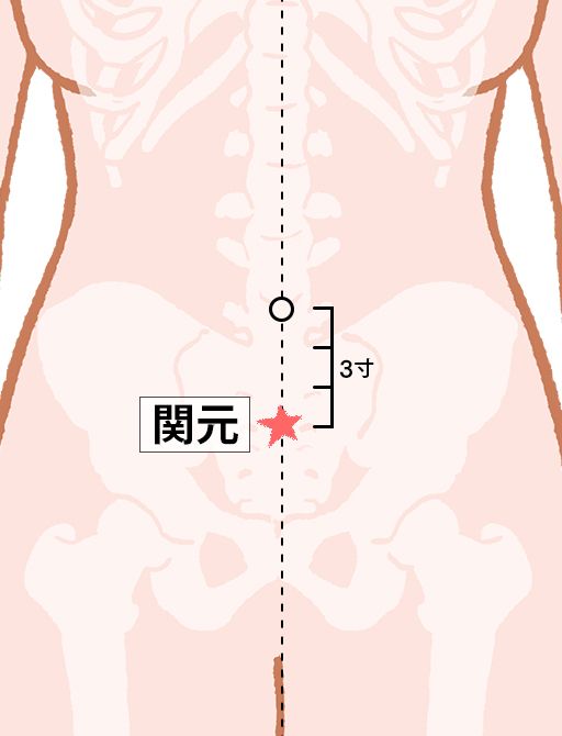 関元（かんげん）：任脈のツボ