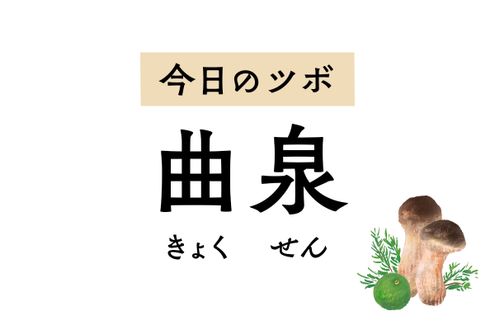 膝の裏側のくぼみにある「曲泉」のツボは月経不順や月経痛、陰部のかゆみに作用