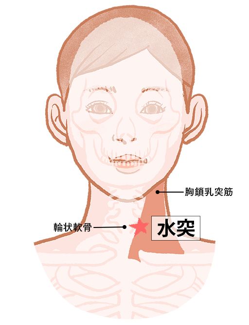 水突（すいとつ）：胃経のツボ
