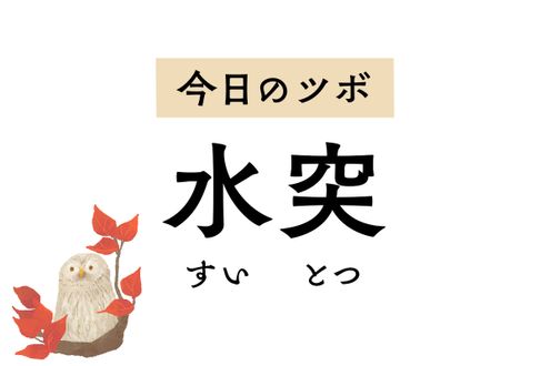 喉ぼとけの脇にある「水突」のツボが、せきや喘息、頚部リンパ節結核の痛みを軽減