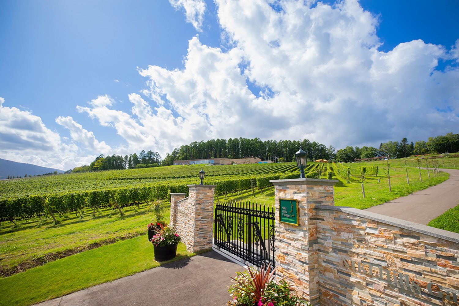 NIKI Hills Wineryのゲート。なだらかな起伏のある緑のブドウ畑、その上に広がる青い空は、世界の名だたるワインの産地に勝るとも劣らない美しさ。（写真提供：NIKI Hills Winery）