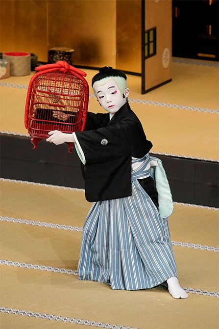 『裏表先代萩』千松＝中村秀乃介（2026年4月歌舞伎座）🄫松竹