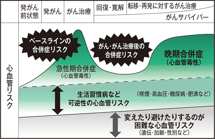 向井幹夫先生提供資料から作成