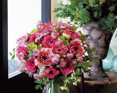 家庭画報 花カレンダー 2027 より