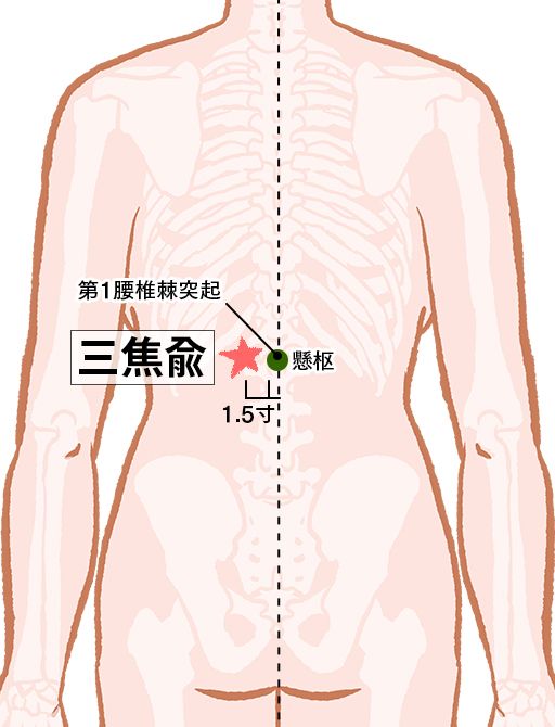 三焦兪（さんしょうゆ）：膀胱経のツボ